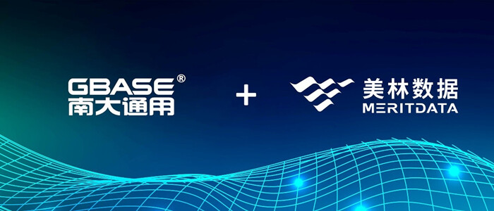 美林數(shù)據(jù)與南大通用