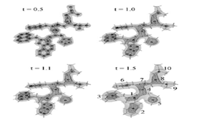 蛋白質(zhì)分析
