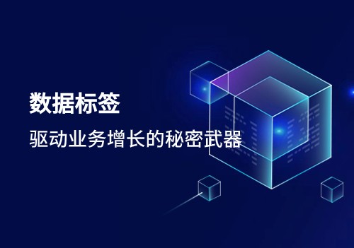 數(shù)據(jù)標(biāo)簽：驅(qū)動(dòng)業(yè)務(wù)增長(zhǎng)的秘密武器